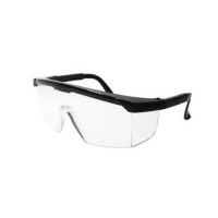 Kính bảo hộ P650 NPS-18813