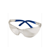 Kính bảo hộ P9005 NPS-18817